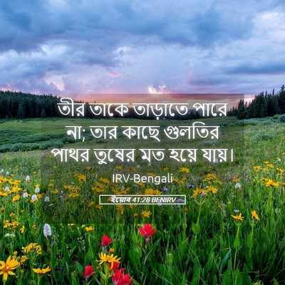 Picture 05 - ইয়োব 41:28 BENIRV - তীর তাকে তাড়াতে - Bible Verse Picture