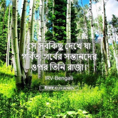 Picture 05 - ইয়োব 41:34 BENIRV - সে সবকিছু দেখে যা - Bible Verse Picture