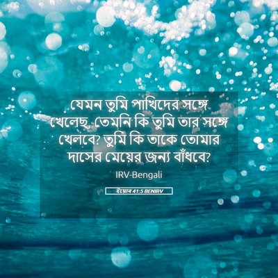 Picture 05 - ইয়োব 41:5 BENIRV - যেমন তুমি পাখিদের - Bible Verse Picture