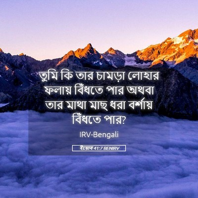 Picture 05 - ইয়োব 41:7 BENIRV - তুমি কি তার চামড়া - Bible Verse Picture