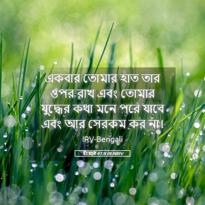 Picture 05 - ইয়োব 41:8 BENIRV - একবার তোমার হাত - Bible Verse Picture