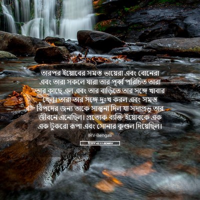 Picture 05 - ইয়োব 42:11 BENIRV - তারপর ইয়োবের - Bible Verse Picture