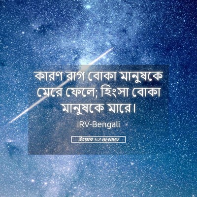 Picture 05 - ইয়োব 5:2 BENIRV - কারণ রাগ বোকা - Bible Verse Picture