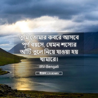 Picture 05 - ইয়োব 5:26 BENIRV - তুমি তোমার কবরে - Bible Verse Picture