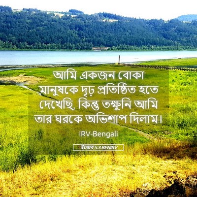 Picture 05 - ইয়োব 5:3 BENIRV - আমি একজন বোকা - Bible Verse Picture