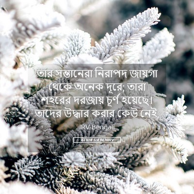 Picture 05 - ইয়োব 5:4 BENIRV - তার সন্তানেরা - Bible Verse Picture