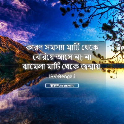 Picture 05 - ইয়োব 5:6 BENIRV - কারণ সমস্যা মাটি - Bible Verse Picture