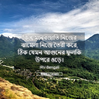 Picture 05 - ইয়োব 5:7 BENIRV - কিন্তু মানবজাতি - Bible Verse Picture