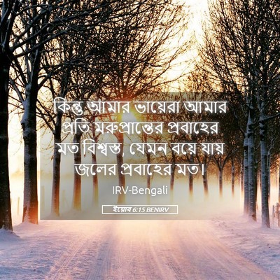 Picture 05 - ইয়োব 6:15 BENIRV - কিন্তু আমার - Bible Verse Picture