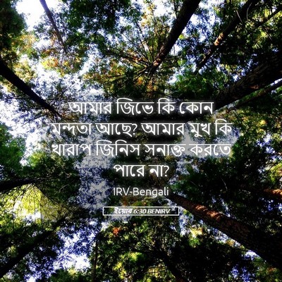 Picture 05 - ইয়োব 6:30 BENIRV - আমার জিভে কি কোন - Bible Verse Picture