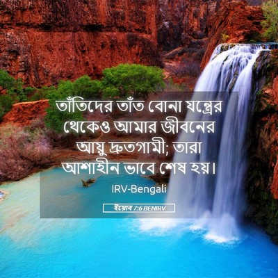 Picture 05 - ইয়োব 7:6 BENIRV - তাঁতিদের তাঁত - Bible Verse Picture