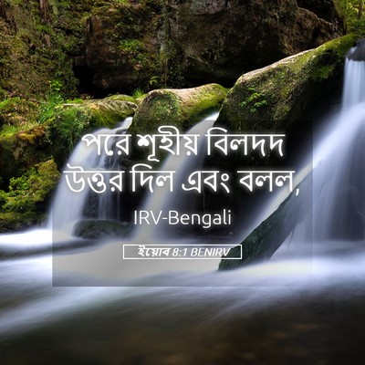 Picture 05 - ইয়োব 8:1 BENIRV - পরে শূহীয় বিলদদ - Bible Verse Picture