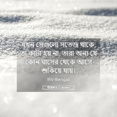 Picture 05 - ইয়োব 8:12 BENIRV - যখন সেগুলো সতেজ - Bible Verse Picture