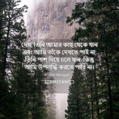 Picture 05 - ইয়োব 9:11 BENIRV - দেখ, তিনি আমার কাছ - Bible Verse Picture