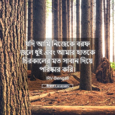 Picture 05 - ইয়োব 9:30 BENIRV - যদি আমি নিজেকে বরফ - Bible Verse Picture