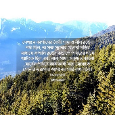 Picture 05 - ইষ্টেৰ 1:6 BENIRV - সেখানে কার্পাসের - Bible Verse Picture