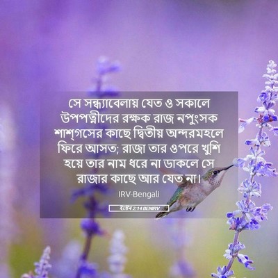 Picture 05 - ইষ্টেৰ 2:14 BENIRV - সে সন্ধ্যাবেলায় - Bible Verse Picture