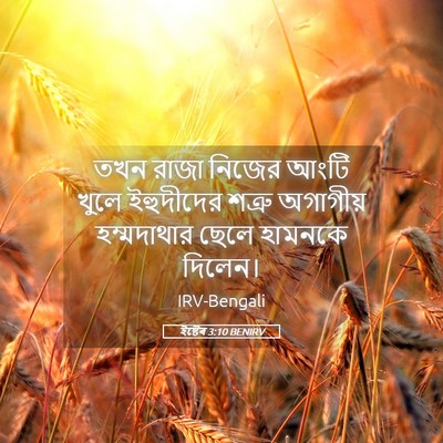 Picture 05 - ইষ্টেৰ 3:10 BENIRV - তখন রাজা নিজের - Bible Verse Picture
