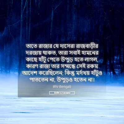 Picture 05 - ইষ্টেৰ 3:2 BENIRV - তাতে রাজার যে - Bible Verse Picture