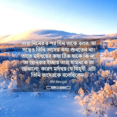 Picture 05 - ইষ্টেৰ 3:4 BENIRV - তারা দিনের র পর দিন - Bible Verse Picture