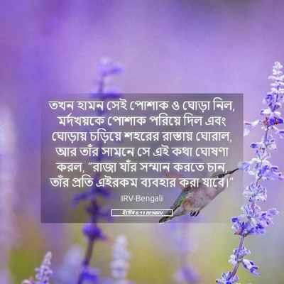 Picture 05 - ইষ্টেৰ 6:11 BENIRV - তখন হামন সেই পোশাক - Bible Verse Picture