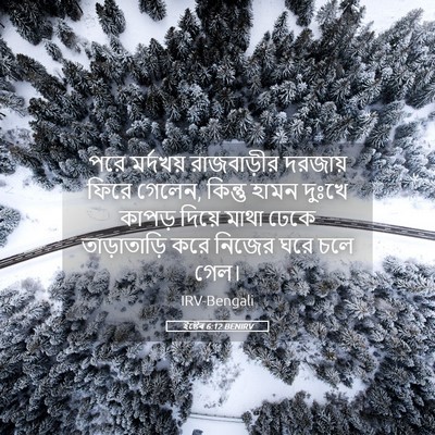 Picture 05 - ইষ্টেৰ 6:12 BENIRV - পরে মর্দখয় - Bible Verse Picture