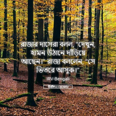 Picture 05 - ইষ্টেৰ 6:5 BENIRV - রাজার দাসেরা বলল, - Bible Verse Picture