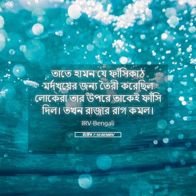 Picture 05 - ইষ্টেৰ 7:10 BENIRV - তাতে হামন যে - Bible Verse Picture