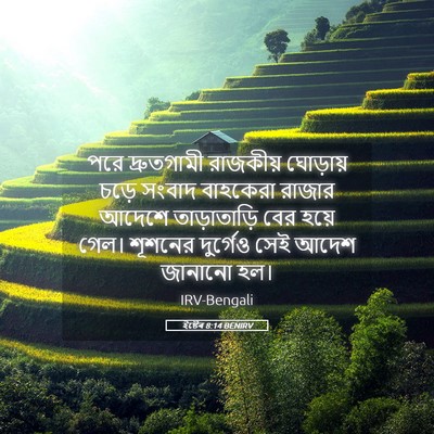 Picture 05 - ইষ্টেৰ 8:14 BENIRV - পরে দ্রুতগামী - Bible Verse Picture
