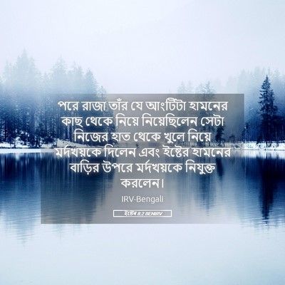 Picture 05 - ইষ্টেৰ 8:2 BENIRV - পরে রাজা তাঁর যে - Bible Verse Picture