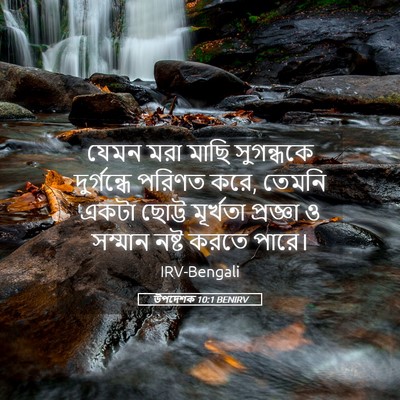 Picture 05 - উপদেশক 10:1 BENIRV - যেমন মরা মাছি - Bible Verse Picture