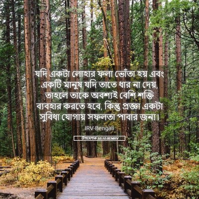 Picture 05 - উপদেশক 10:10 BENIRV - যদি একটা লোহার ফলা - Bible Verse Picture