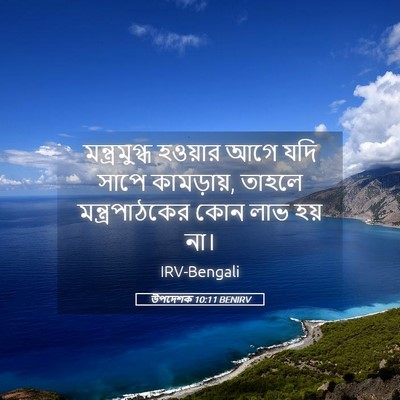Picture 05 - উপদেশক 10:11 BENIRV - মন্ত্রমুগ্ধ - Bible Verse Picture
