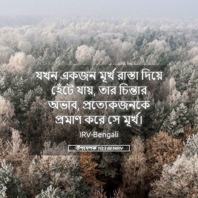 Picture 05 - উপদেশক 10:3 BENIRV - যখন একজন মূর্খ - Bible Verse Picture