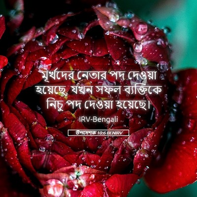 Picture 05 - উপদেশক 10:6 BENIRV - মূর্খদের নেতার পদ - Bible Verse Picture