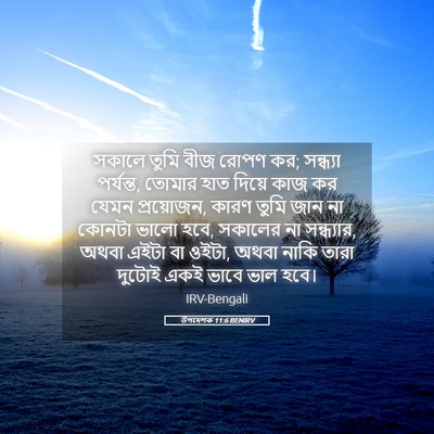 Picture 05 - উপদেশক 11:6 BENIRV - সকালে তুমি বীজ - Bible Verse Picture