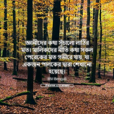 Picture 05 - উপদেশক 12:11 BENIRV - জ্ঞানীদের কথা - Bible Verse Picture
