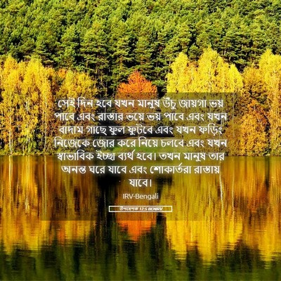 Picture 05 - উপদেশক 12:5 BENIRV - সেই দিন হবে যখন - Bible Verse Picture