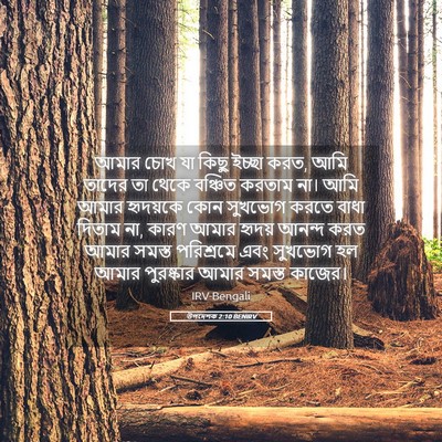Picture 05 - উপদেশক 2:10 BENIRV - আমার চোখ যা কিছু - Bible Verse Picture