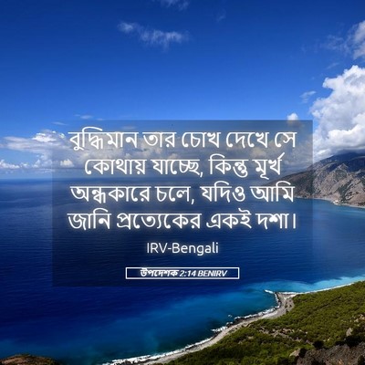 Picture 05 - উপদেশক 2:14 BENIRV - বুদ্ধিমান তার চোখ - Bible Verse Picture
