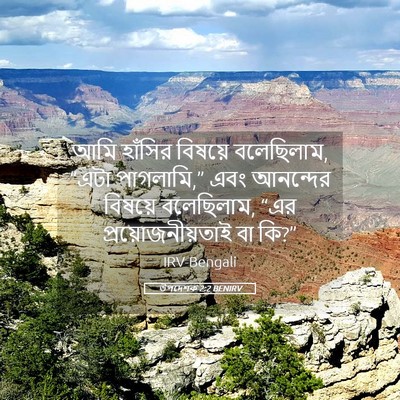 Picture 05 - উপদেশক 2:2 BENIRV - আমি হাঁসির বিষয়ে - Bible Verse Picture