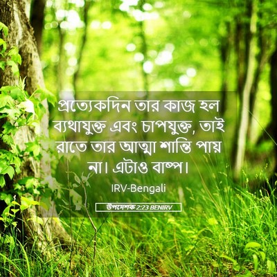 Picture 05 - উপদেশক 2:23 BENIRV - প্রত্যেকদিন তার - Bible Verse Picture