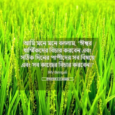 Picture 05 - উপদেশক 3:17 BENIRV - আমি মনে মনে বললাম, - Bible Verse Picture