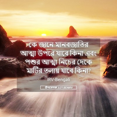 Picture 05 - উপদেশক 3:21 BENIRV - কে জানে মানবজাতির - Bible Verse Picture