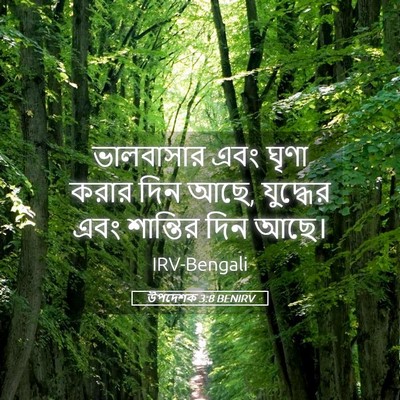 Picture 05 - উপদেশক 3:8 BENIRV - ভালবাসার এবং ঘৃণা - Bible Verse Picture