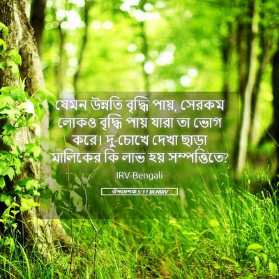 Picture 05 - উপদেশক 5:11 BENIRV - যেমন উন্নতি - Bible Verse Picture
