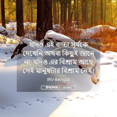 Picture 05 - উপদেশক 6:5 BENIRV - যদিও এই বাচ্চা - Bible Verse Picture