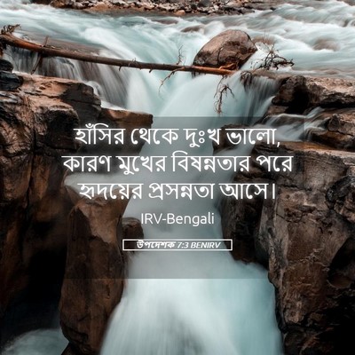 Picture 05 - উপদেশক 7:3 BENIRV - হাঁসির থেকে দুঃখ - Bible Verse Picture