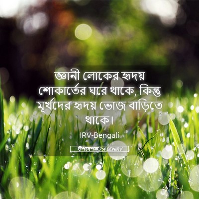 Picture 05 - উপদেশক 7:4 BENIRV - জ্ঞানী লোকের - Bible Verse Picture
