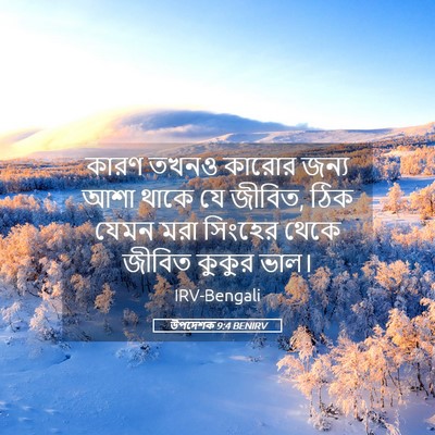 Picture 05 - উপদেশক 9:4 BENIRV - কারণ তখনও কারোর - Bible Verse Picture